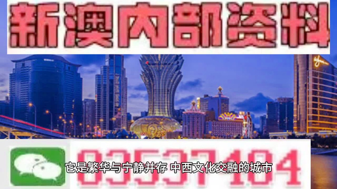 新澳门精准单双期期中特全年资料公开，详细解答解释与落实